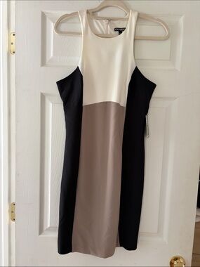 Express Colorblock Sheath Dress - Ivory, Taupe & Black